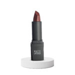 Alix Avien Matte Lipstick - 411 Spicy Terracotta-4.5gm